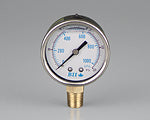 Graph image for Pressure Gauge 63mm x 1/4