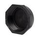 Poly Cap Threaded BSP 25mm (1")