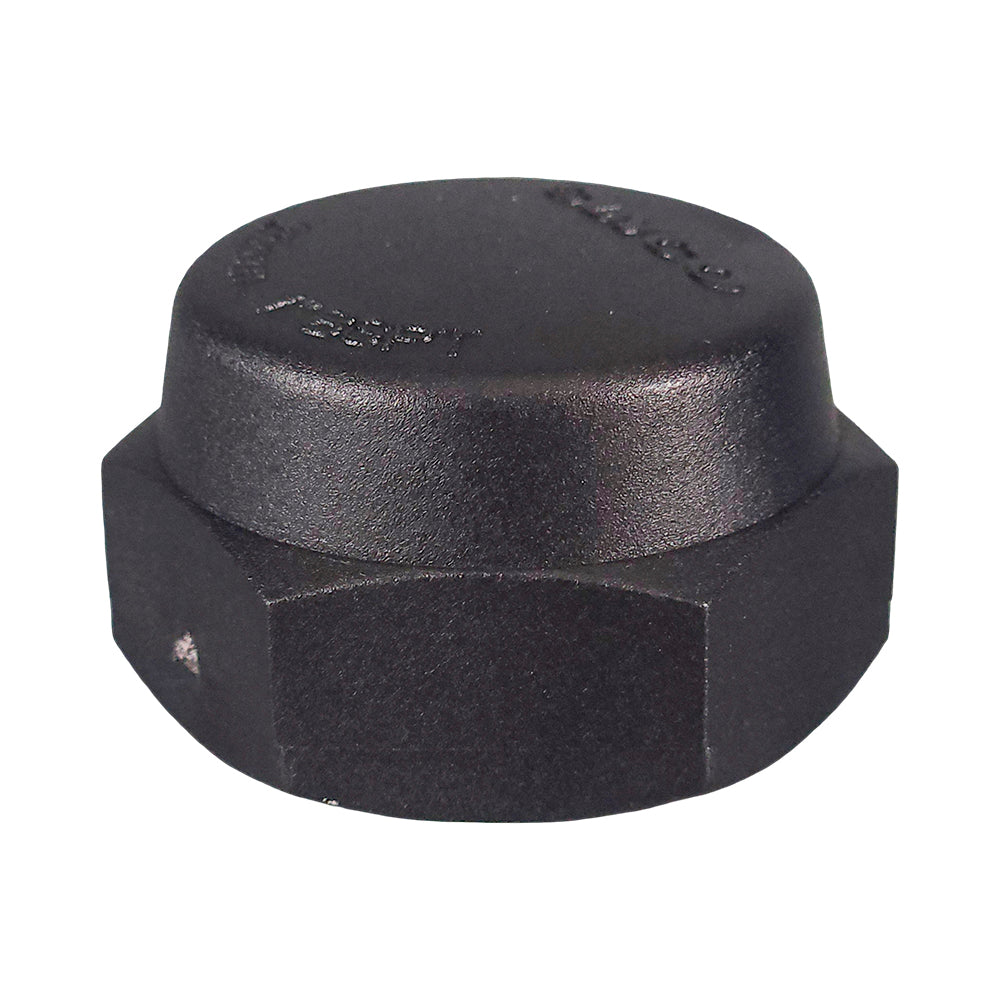 Poly Cap Threaded BSP 25mm (1")