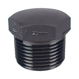 Poly Plug 25mm (1")