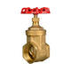 Brass Gate Valve 20mm (3/4") BSP
