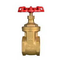 Brass Gate Valve 80mm (3") BSP
